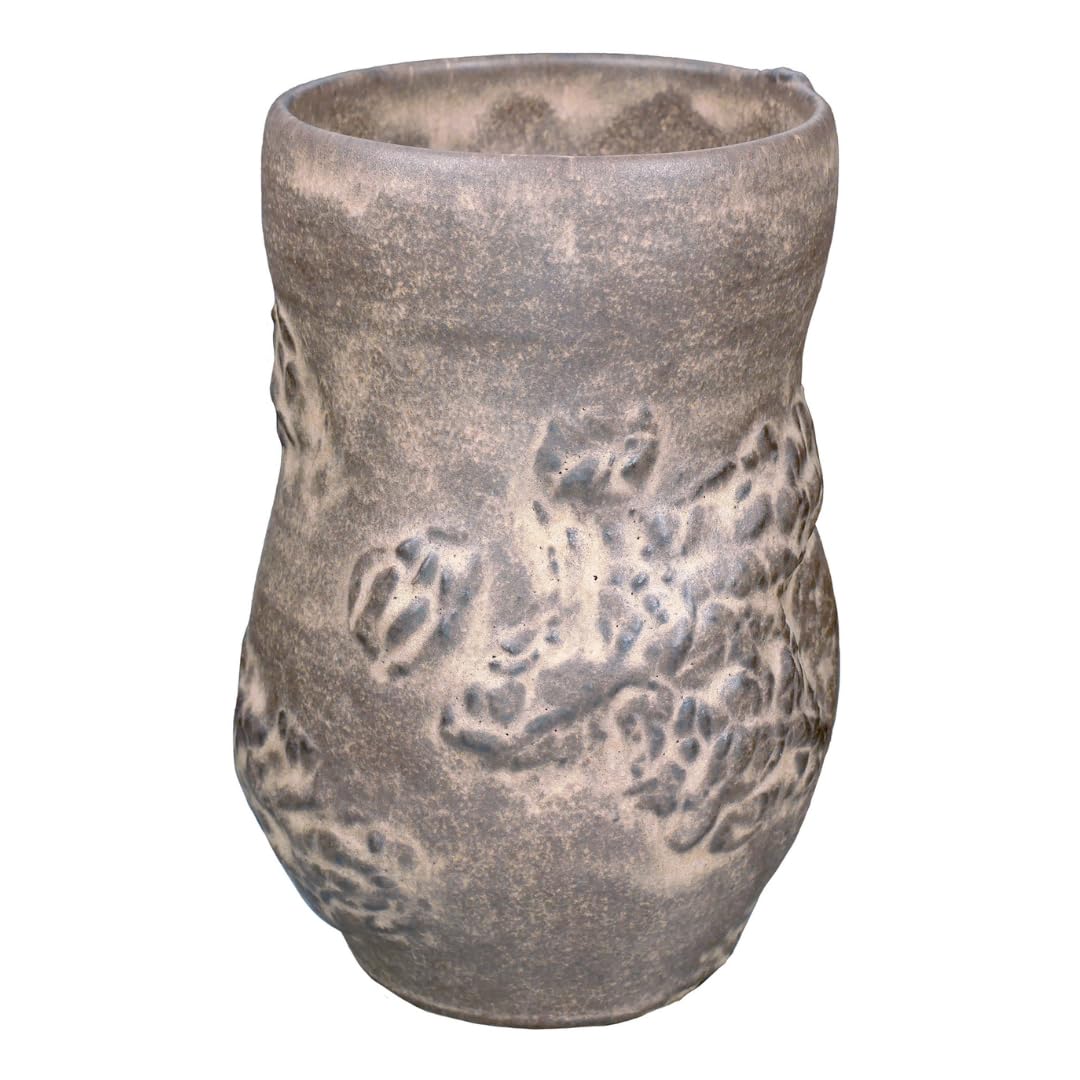 Amazon.com: AMACO Shino SH-32 Cacao Matte High Fire Glaze Pint, 16